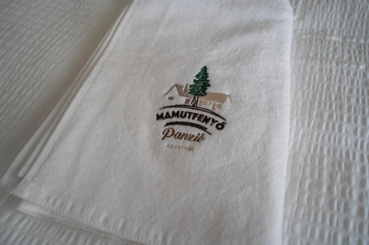 Mamutfenyo Panzio Bed & Breakfast Tata Luaran gambar
